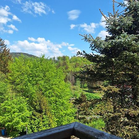 Haus Westharz Goslar Apartman Bad Grund Kültér fotó