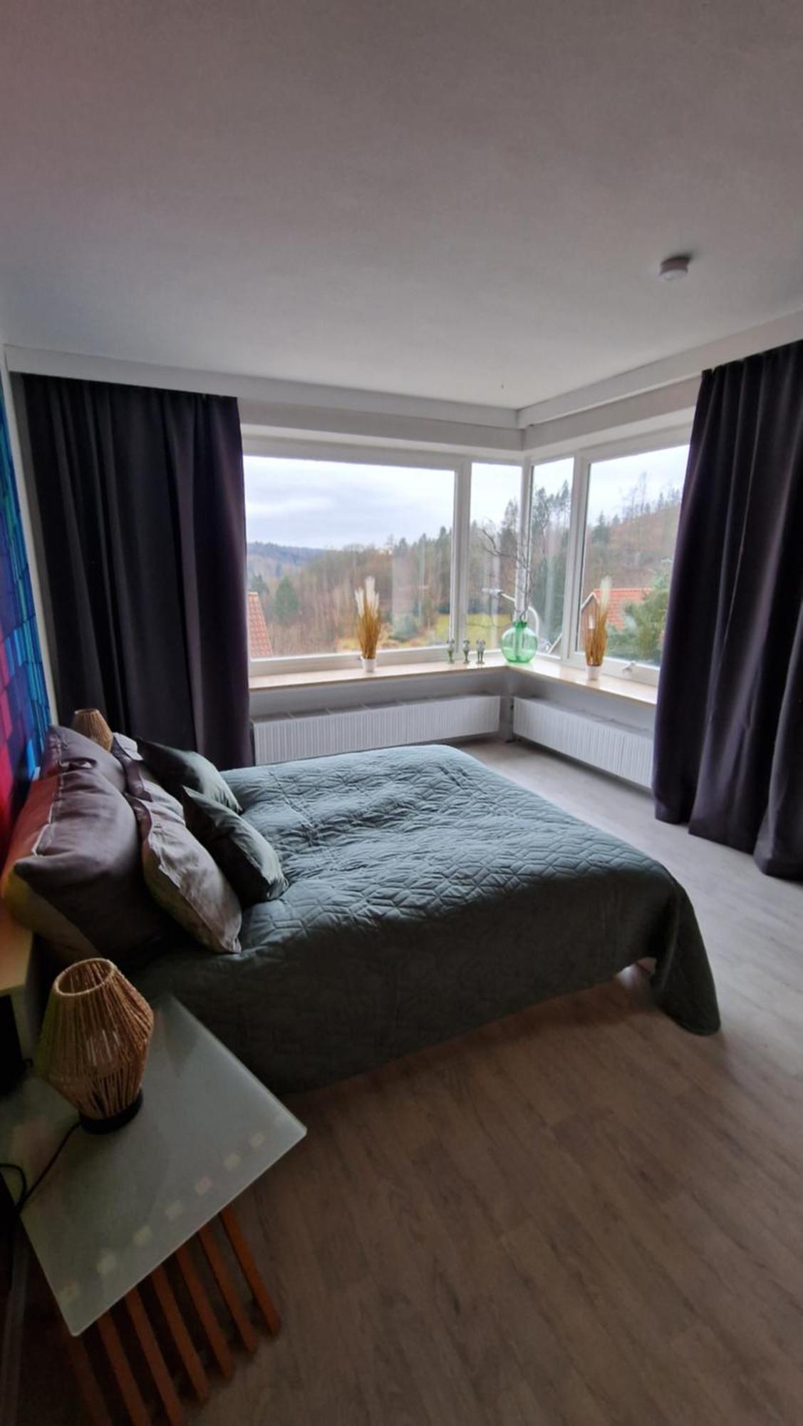 Haus Westharz Goslar Apartman Bad Grund Kültér fotó