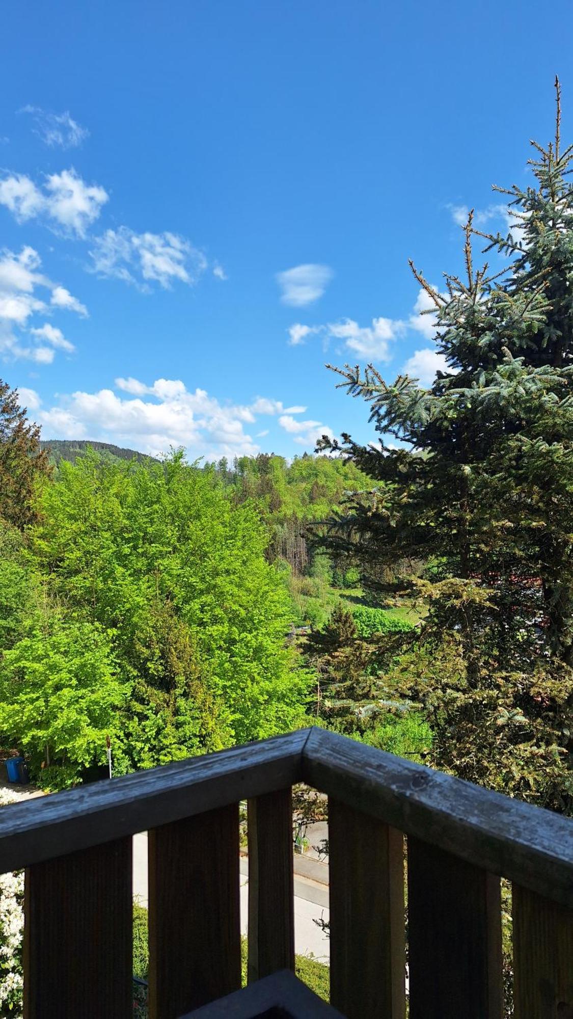 Haus Westharz Goslar Apartman Bad Grund Kültér fotó